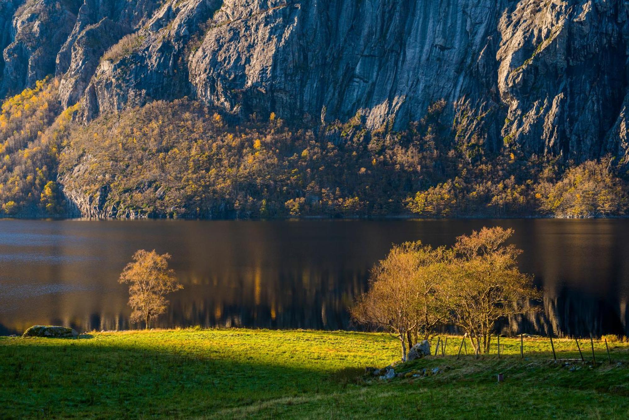 Hytte Ved Preikestolen 포르산 외부 사진