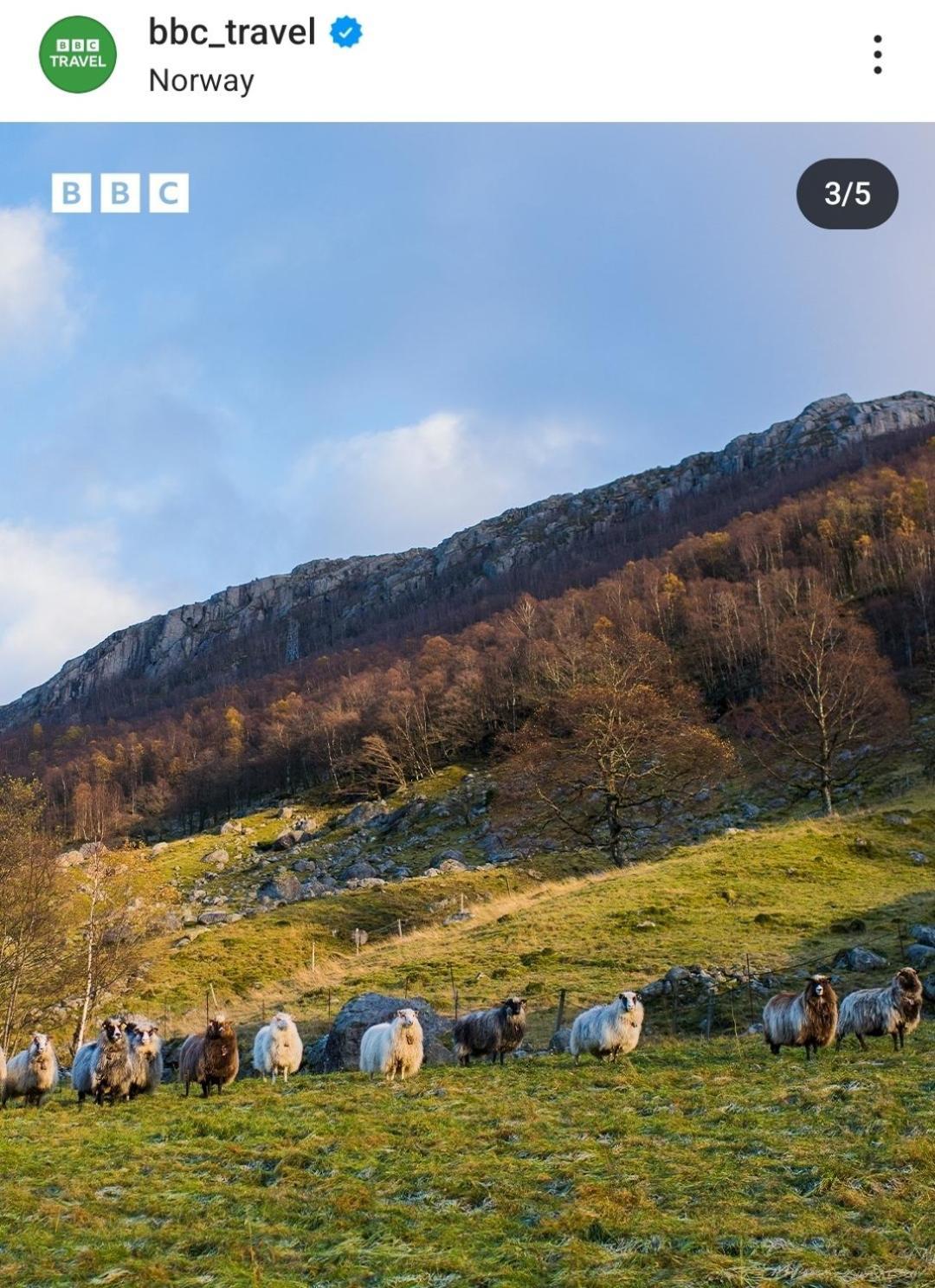 Hytte Ved Preikestolen 포르산 외부 사진