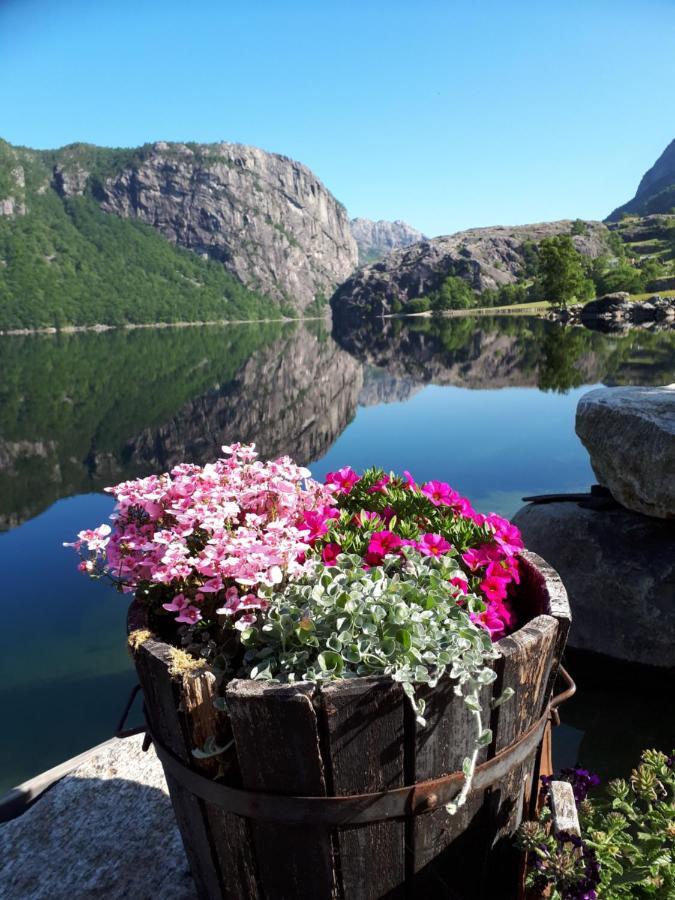 Hytte Ved Preikestolen 포르산 외부 사진